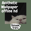 APK Aesthetic Wallpaper background