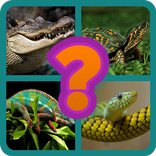 ”find 1 word in 4 pics 2021