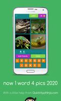 now 1 word 4 pics 2020 ảnh chụp màn hình 1