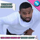 Yared Negu - the best songs without internet icône