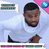 Yared Negu - the best songs without internet Affiche