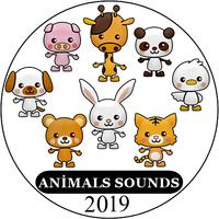 Sons d'animaux - 2019 Affiche