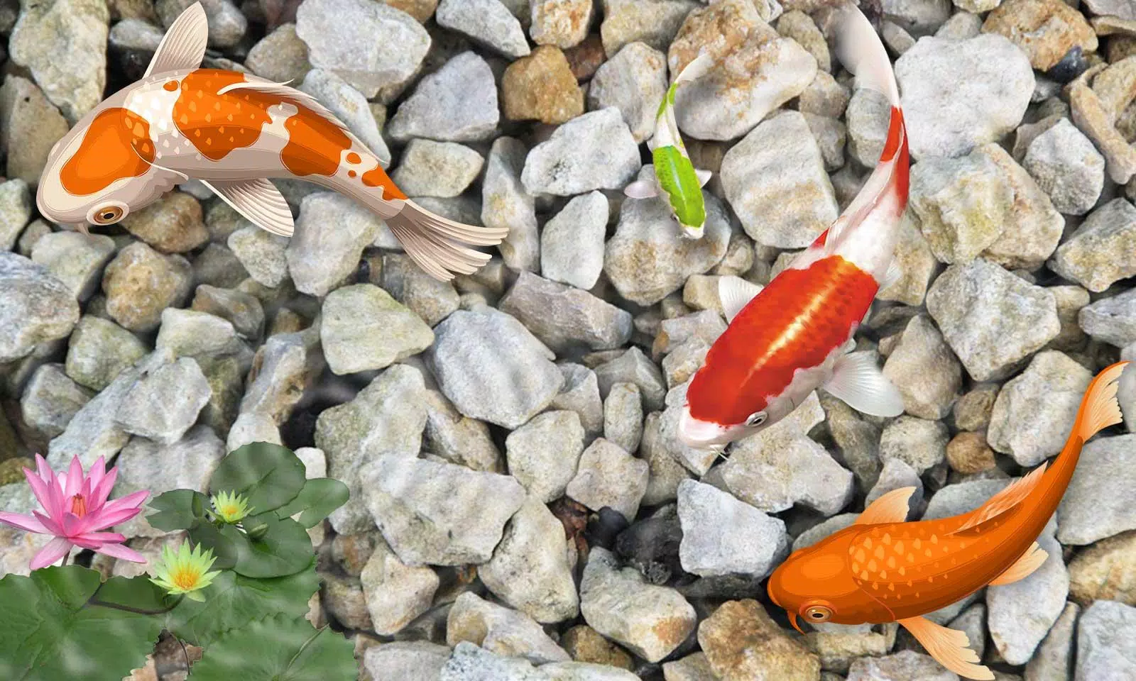 錦鯉免費動態壁紙 魚水族館壁紙安卓下载 安卓版apk 免费下载