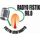 Radyo Fıstık icon