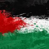 Palestine flag wallpapers icône