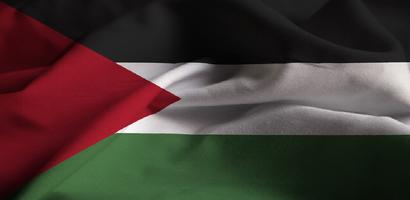 Palestine flag wallpapers اسکرین شاٹ 2