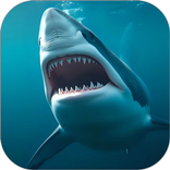Shark WalL