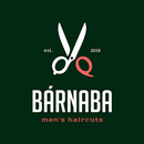 BARNABA men’s haircuts APK