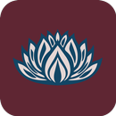 Mash Massage - массаж в СПб APK
