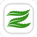 Zелёная APK