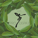 студия красоты PROОБРАЗ APK