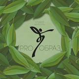 студия красоты PROОБРАЗ simgesi