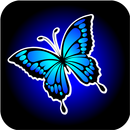 INSTA SALON APK