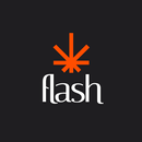 Студия лазерной эпиляции Flash APK