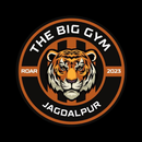 The Big Gym APK