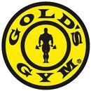 Gold's Gym - HISAR APK