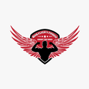 HIGH FLYER'S FITNESS APK