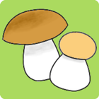MycoIdent ikona