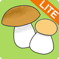 MycoIdent lite