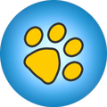 CountRetail