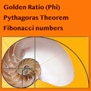 APK Golden Ratio