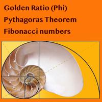 Golden Ratio скриншот 1