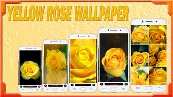 Yellow Rose Wallpaper Affiche