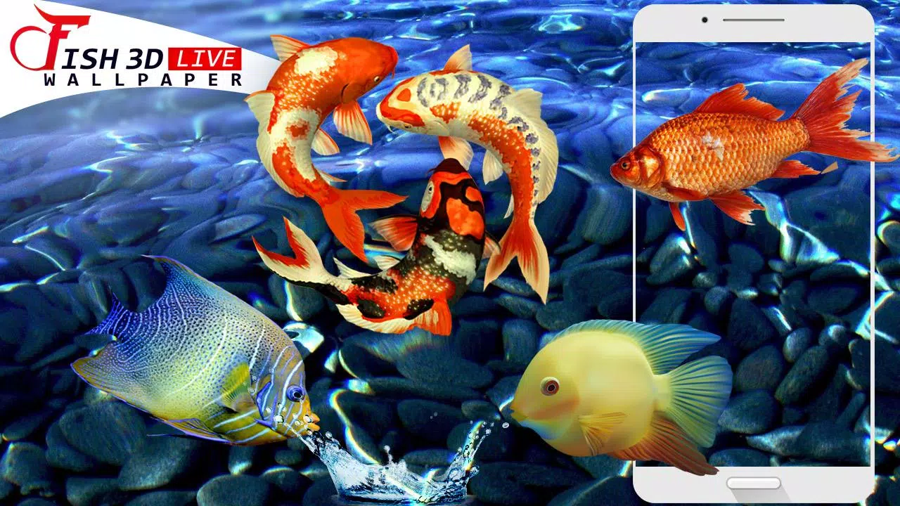 Tải xuống APK Fish 3D Live Wallpaper : Koi 3D Fish cho Android