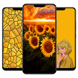 Yellow Wallpapers