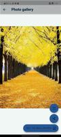 yellow wallpapers screenshot 1