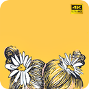 papel tapiz amarillo Aesthetic 4K APK