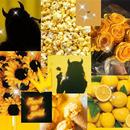 Yellow Wallpaper APK