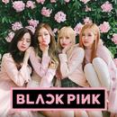 Blackpink Song Popular APK