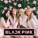Blackpink Song Popular