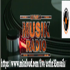 ikon USTHR33MUSIK RADIO