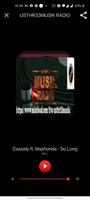 USTHR33MUSIK RADIO poster