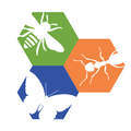 Philly Insects AR