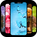 APK Live Wall