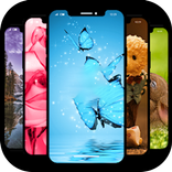 Live Wall