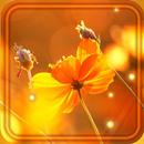 APK Music of Autumn live wallpaper