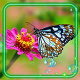 Butterflies Wallpaper иконка
