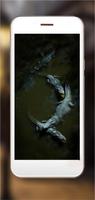Crocodiles Jungles ภาพหน้าจอ 1