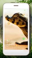 Crocodiles Jungles ภาพหน้าจอ 2