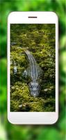 Crocodiles Jungles ภาพหน้าจอ 3