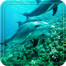 Dolphin Free live wallpaper APK
