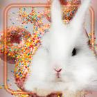 ikon Donuts n Pets