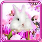Easter Dreams आइकन