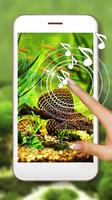 Fishes Aquarium Affiche