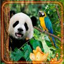 APK Jungles Animals n Birds