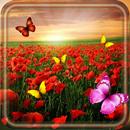 APK Poppy Flower HD